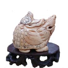 OX BONE CARVED DRANGO CARRYING TURTLE